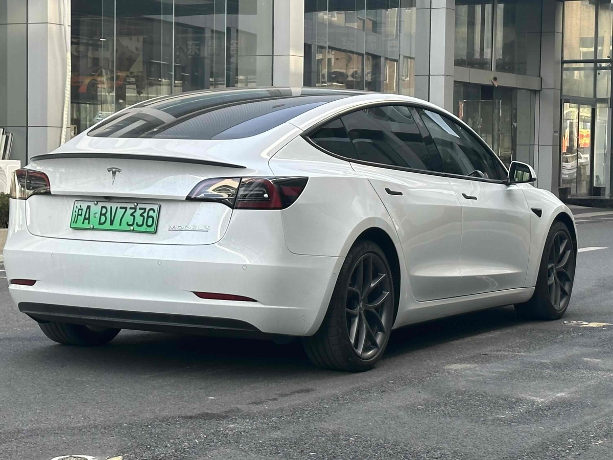 特斯拉 Model 3  2019款 Performance高性能全輪驅(qū)動版圖片