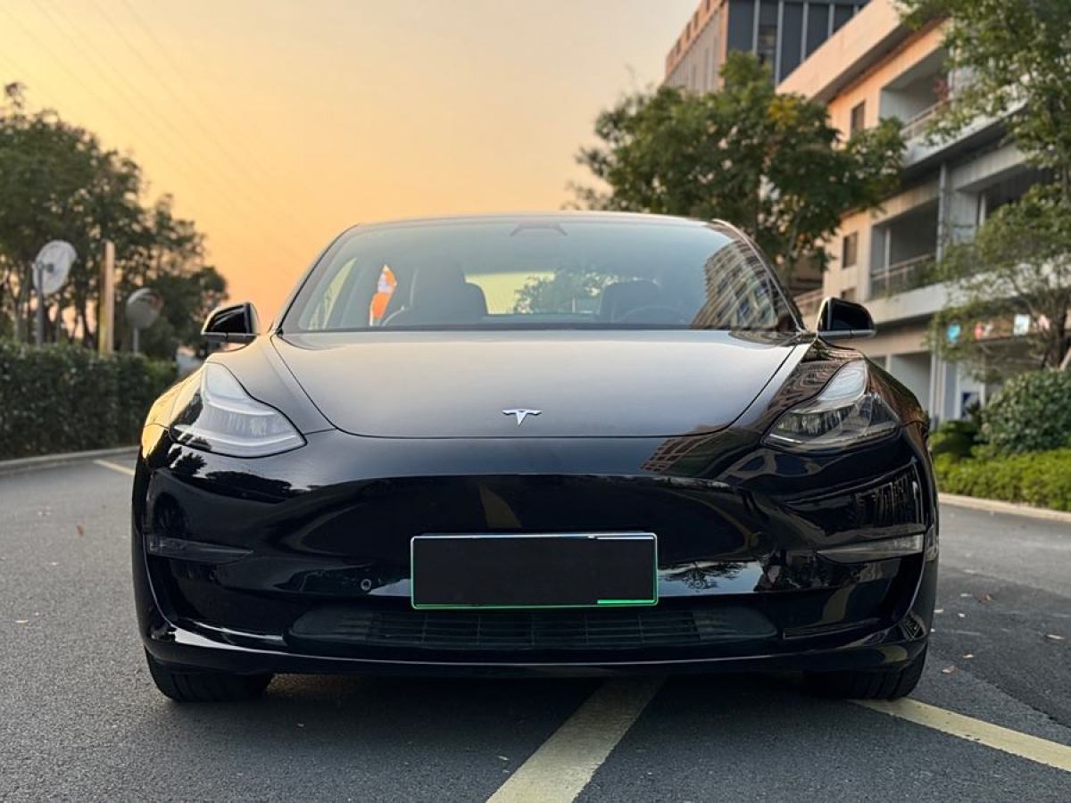 特斯拉 Model 3  2019款 長續(xù)航后驅(qū)版圖片