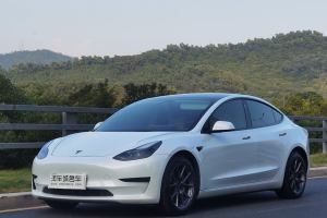 Model 3 特斯拉 标准续航后驱升级版