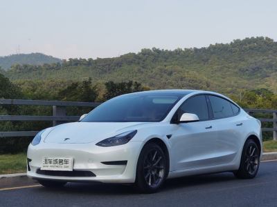 2021年5月 特斯拉 Model 3 標準續(xù)航后驅(qū)升級版圖片