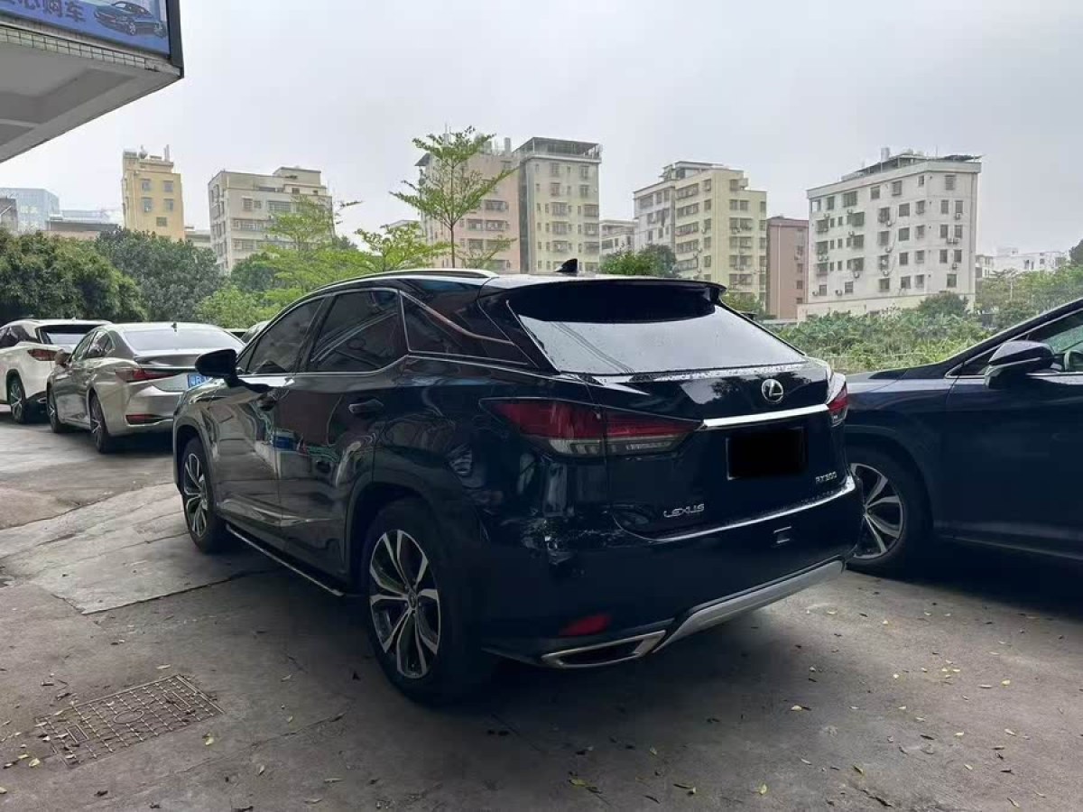 雷克薩斯 RX  2020款 300 四驅(qū)典雅版 國(guó)VI圖片