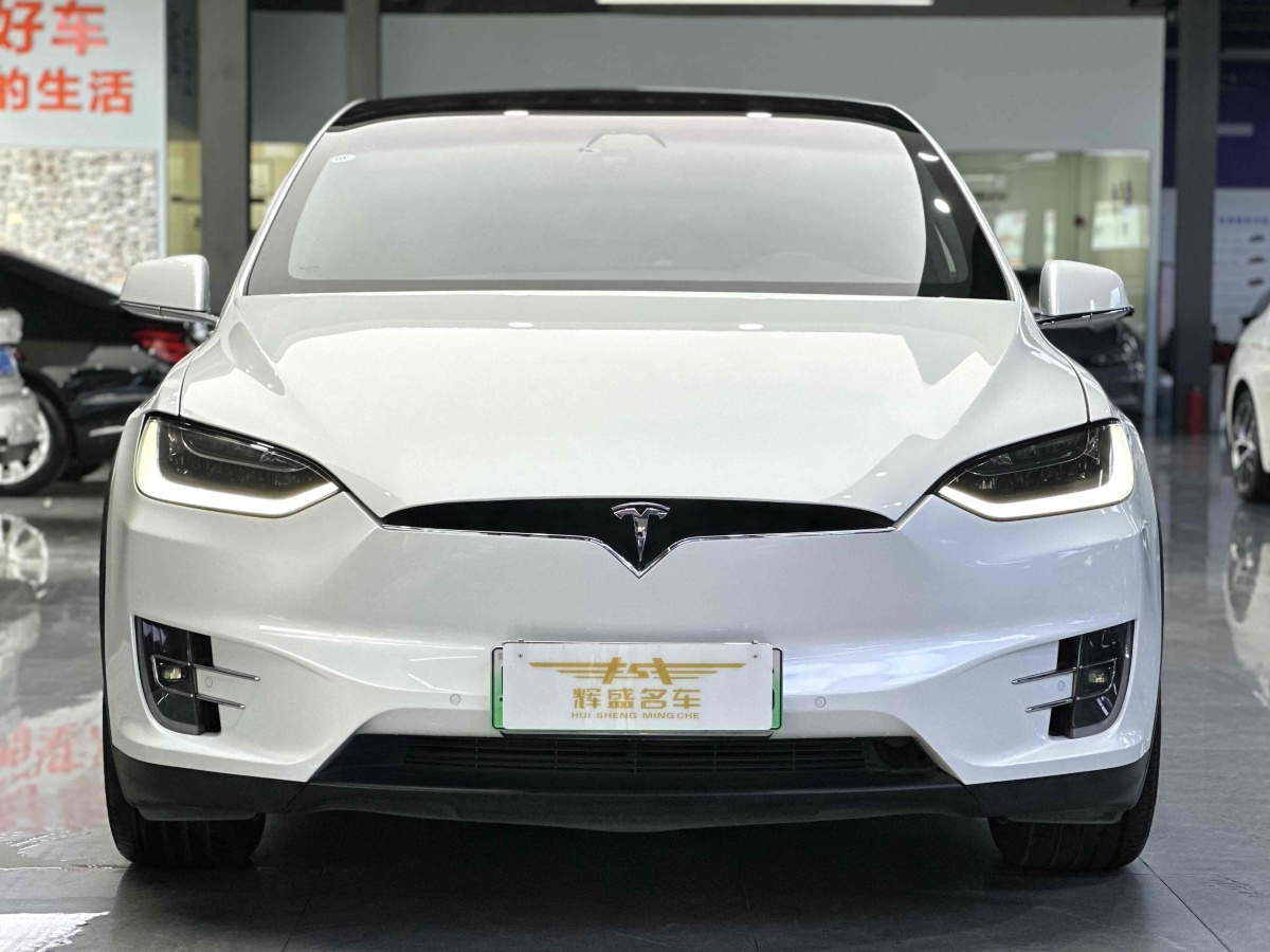 特斯拉 Model X  2016款 Model X 75D圖片