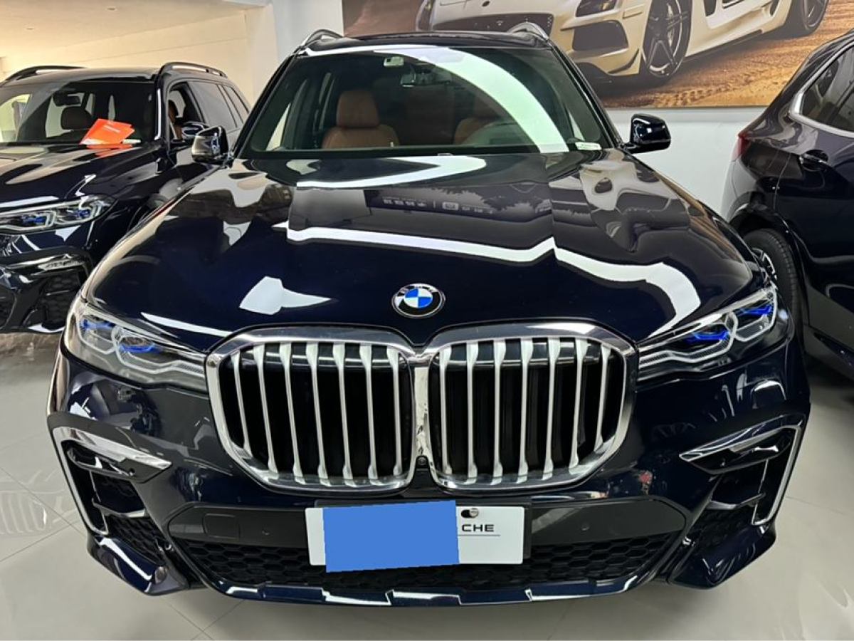 2020年11月寶馬 寶馬X7  2020款 xDrive40i 領(lǐng)先型豪華套裝