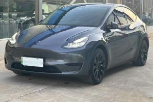 Model 3 特斯拉 Performance高性能全輪驅(qū)動(dòng)版