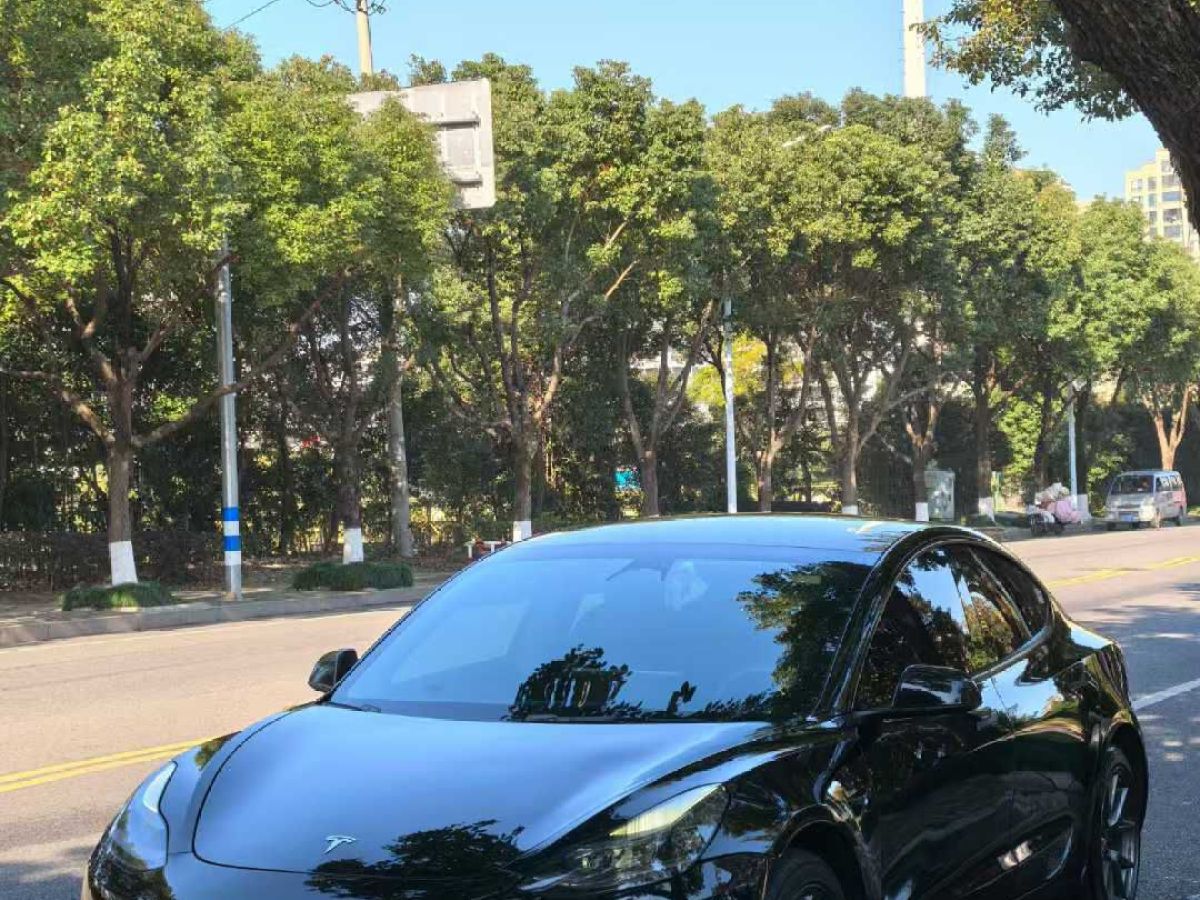 特斯拉 Model S  2023款 三電機(jī)全輪驅(qū)動(dòng) Plaid版圖片