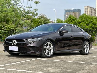 2019年7月 奔馳 奔馳CLS級(jí)(進(jìn)口) CLS 300 動(dòng)感型圖片