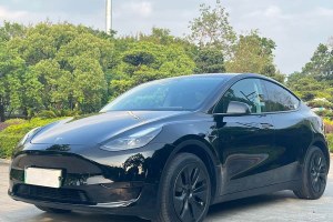 Model Y 特斯拉 后輪驅(qū)動(dòng)版