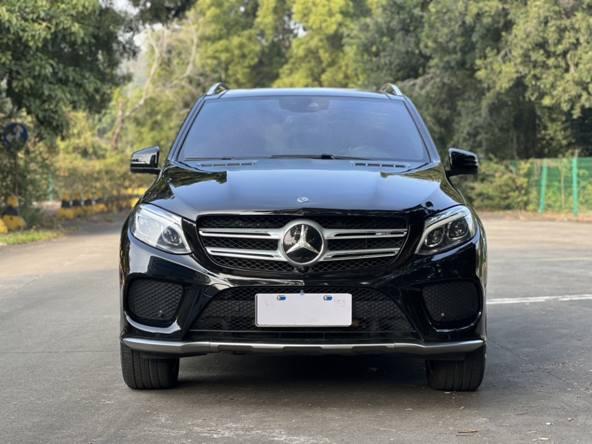 奔馳 奔馳GLE  2019款 GLE 320 4MATIC 豪華型臻藏版圖片