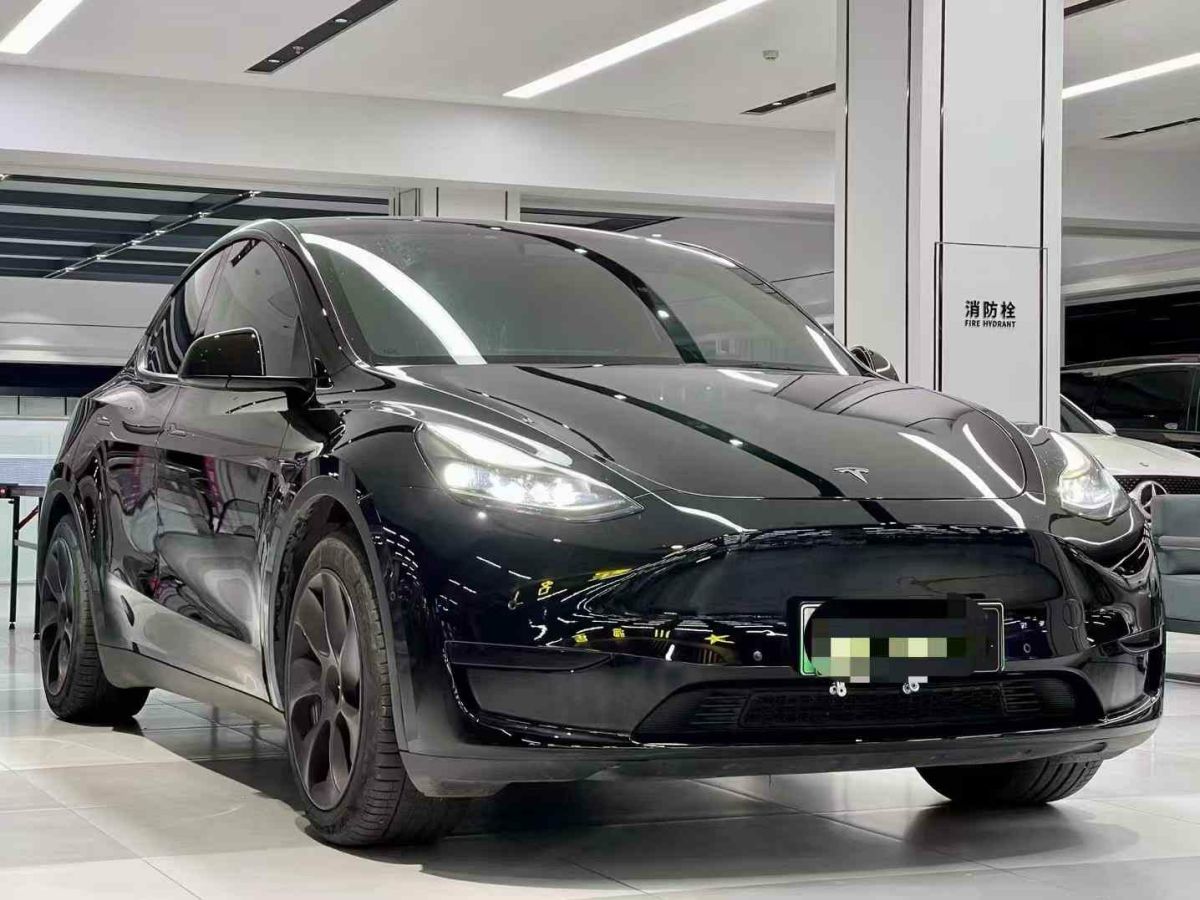 特斯拉 Model S  2023款 三電機(jī)全輪驅(qū)動(dòng) Plaid版圖片