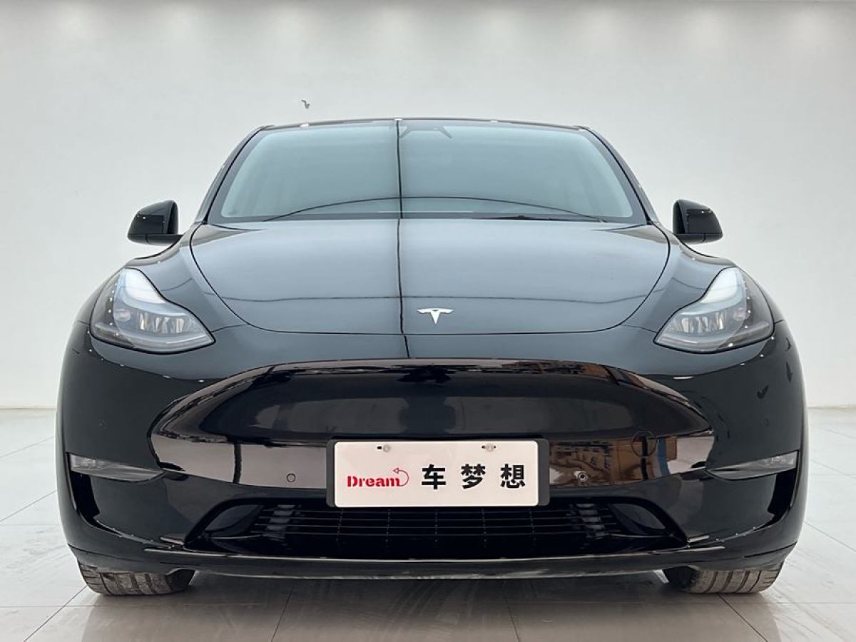 特斯拉 Model 3  2022款 后輪驅(qū)動版圖片