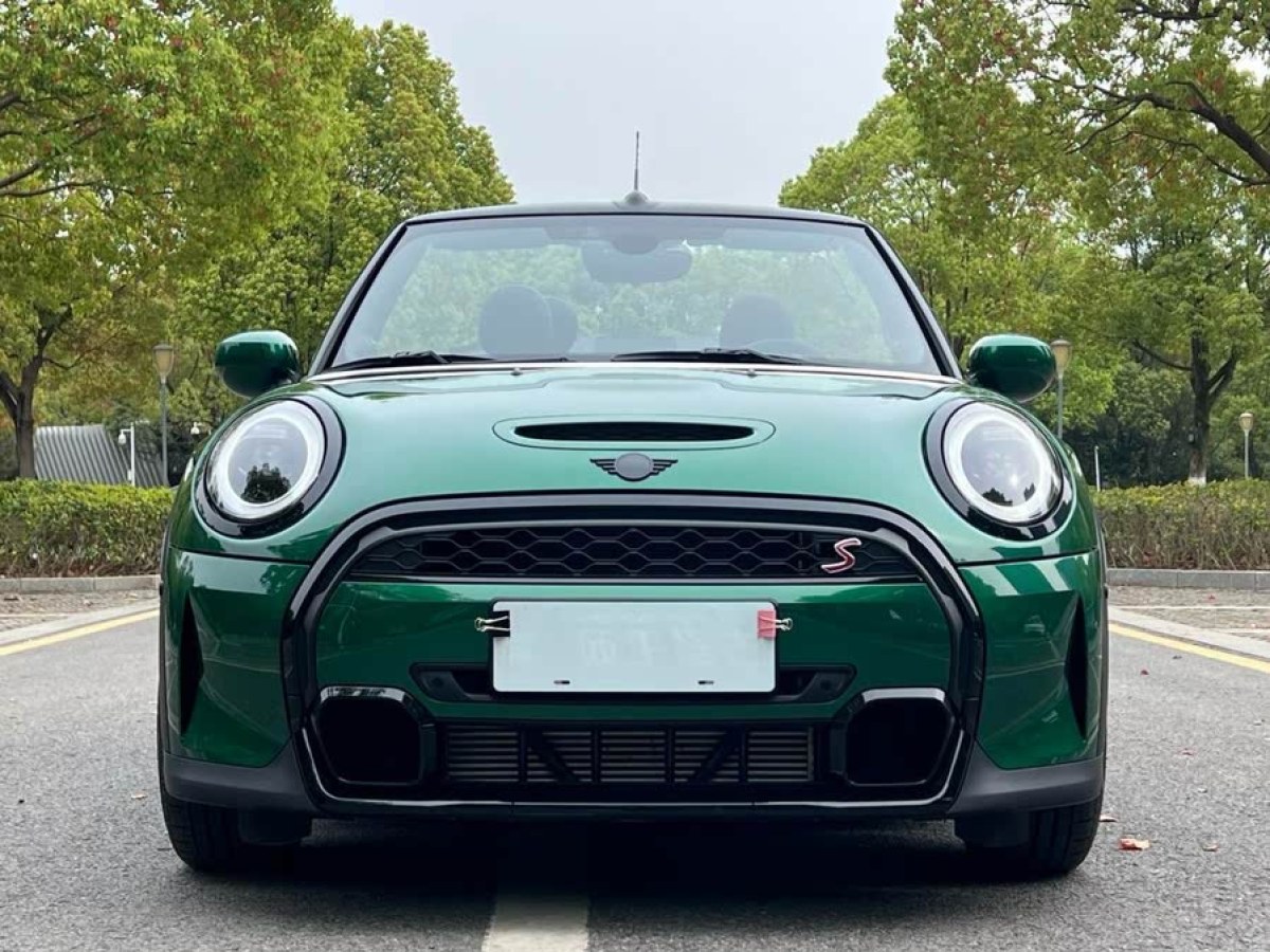 MINI MINI  2023款 改款 2.0T COOPER S CABRIO 藝術(shù)家圖片