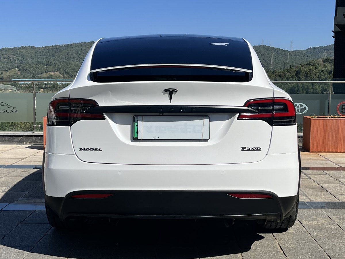 特斯拉 Model X  2016款 Model X 75D圖片