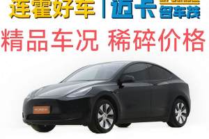 Model 3 特斯拉 煥新版 后輪驅(qū)動(dòng)