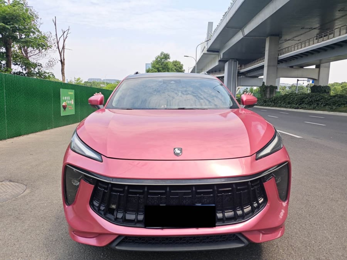 東風(fēng)風(fēng)行 風(fēng)行T5 EVO  2021款 1.5TD DCT鉑金版圖片