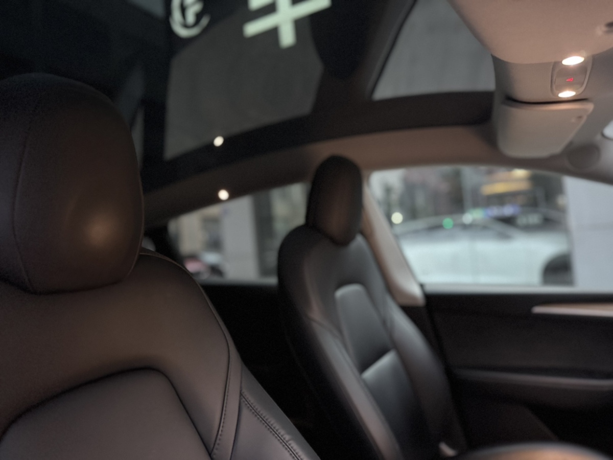 特斯拉 Model Y  2022款 后驅(qū)版圖片