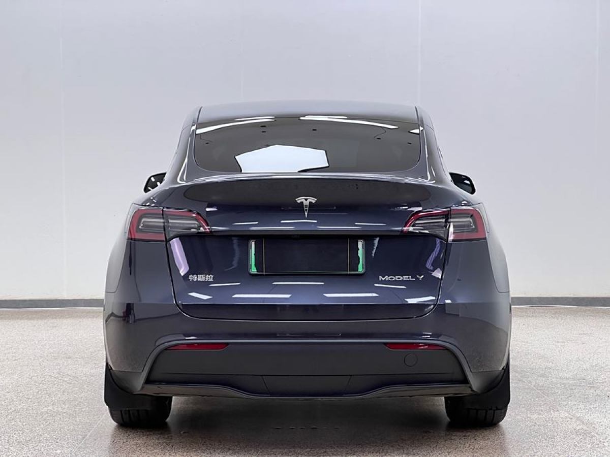 特斯拉 Model Y  2020款 改款 長(zhǎng)續(xù)航后輪驅(qū)動(dòng)版圖片