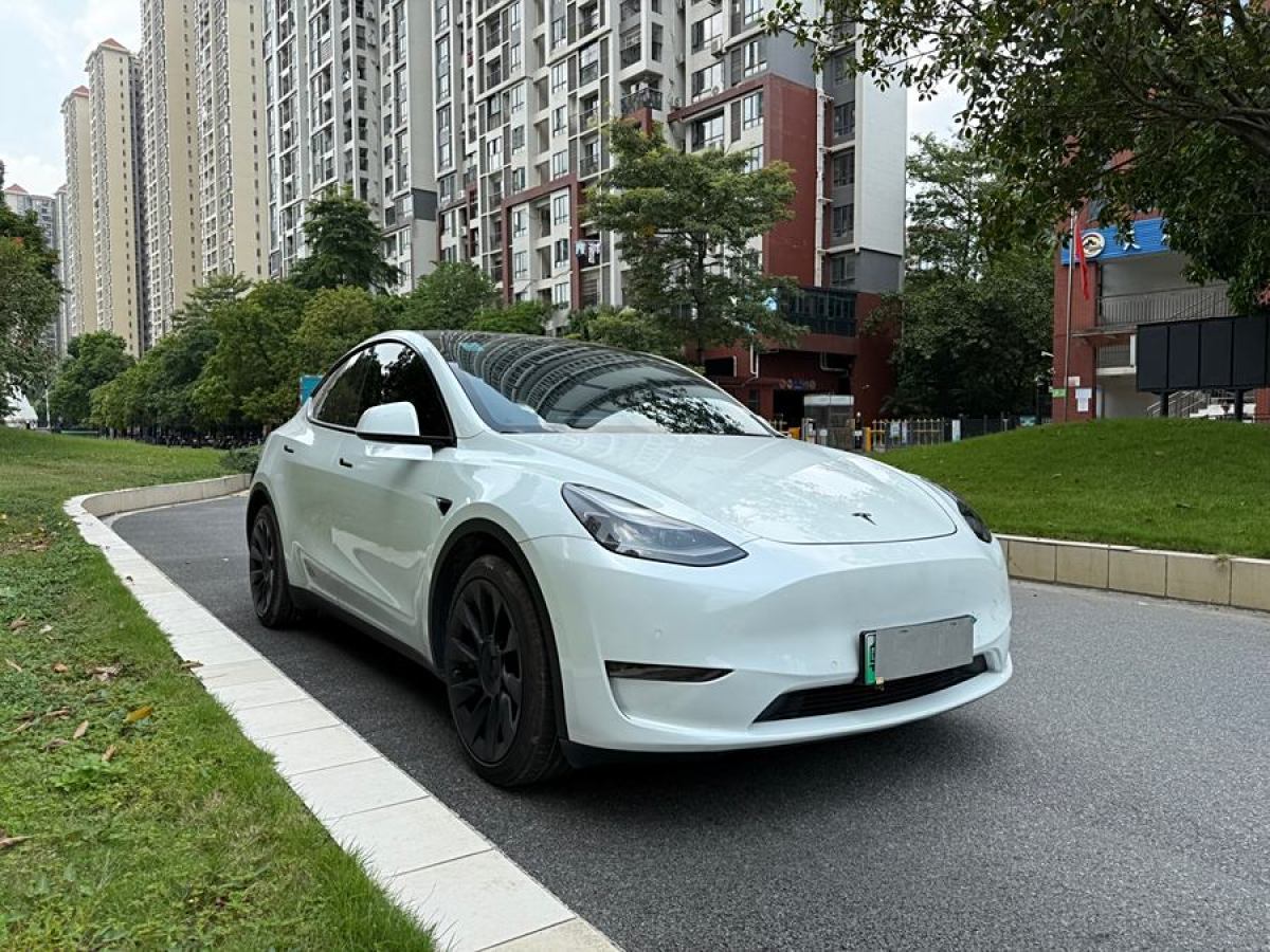 2021年5月特斯拉 Model 3  2021款 改款 長(zhǎng)續(xù)航全輪驅(qū)動(dòng)版