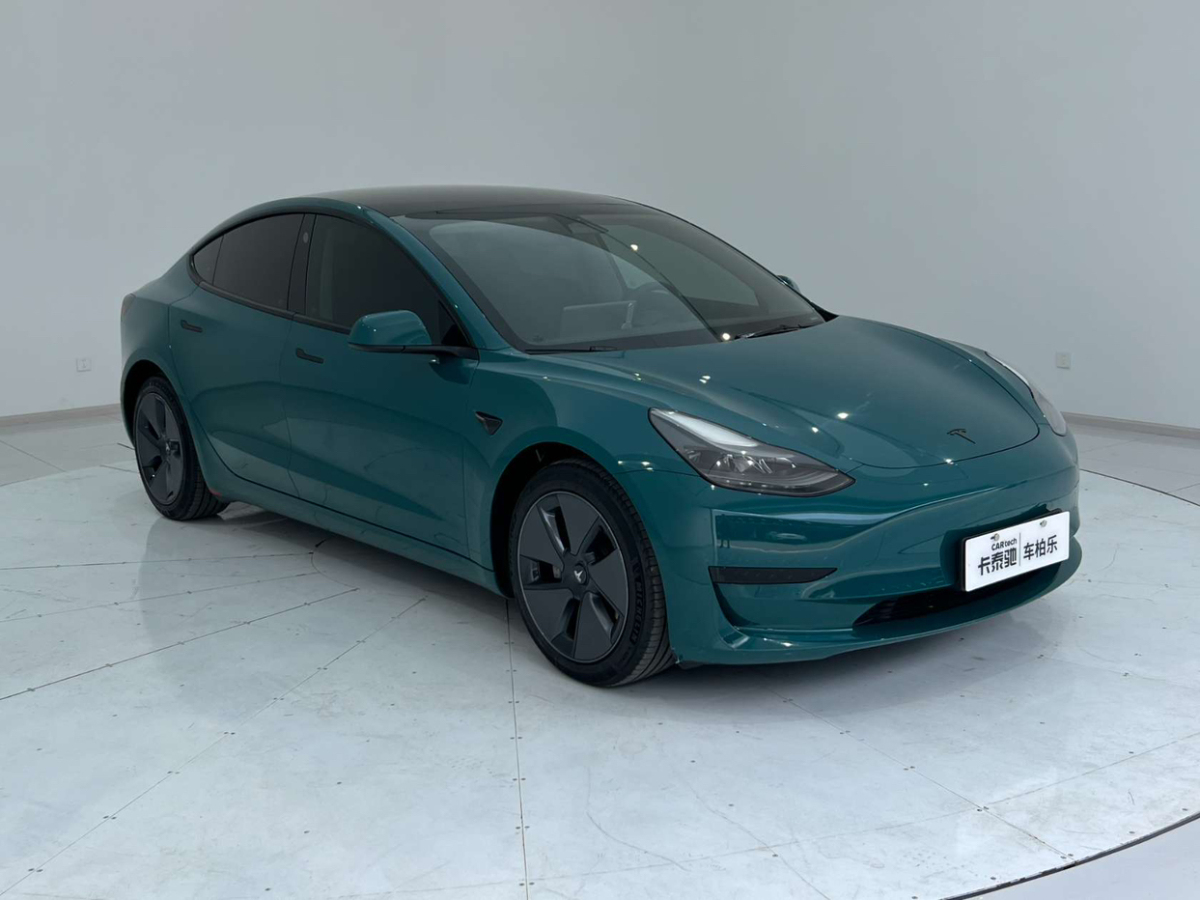 2022年01月特斯拉 Model 3  2022款 改款 后輪驅(qū)動版