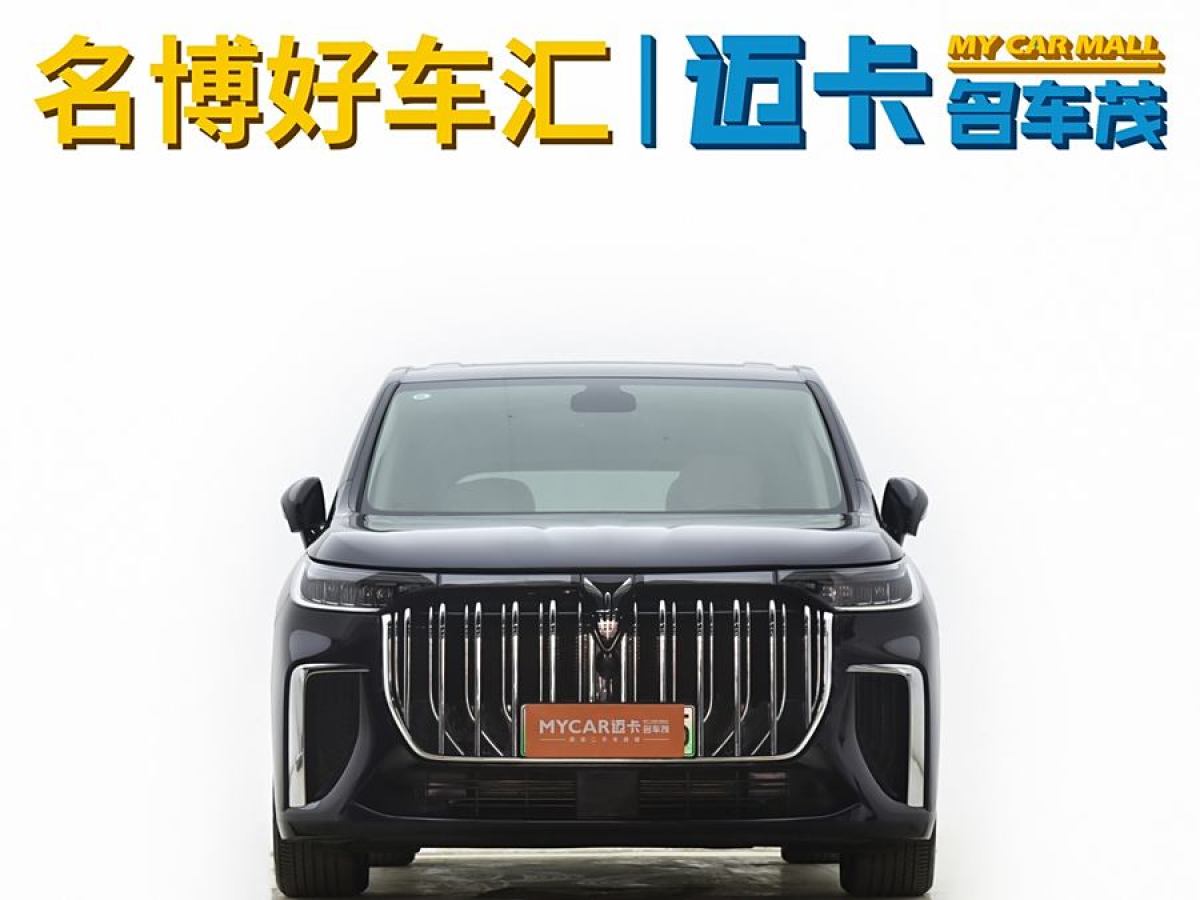 嵐圖 夢想家  2024款 PHEV 超長續(xù)航卓越版圖片