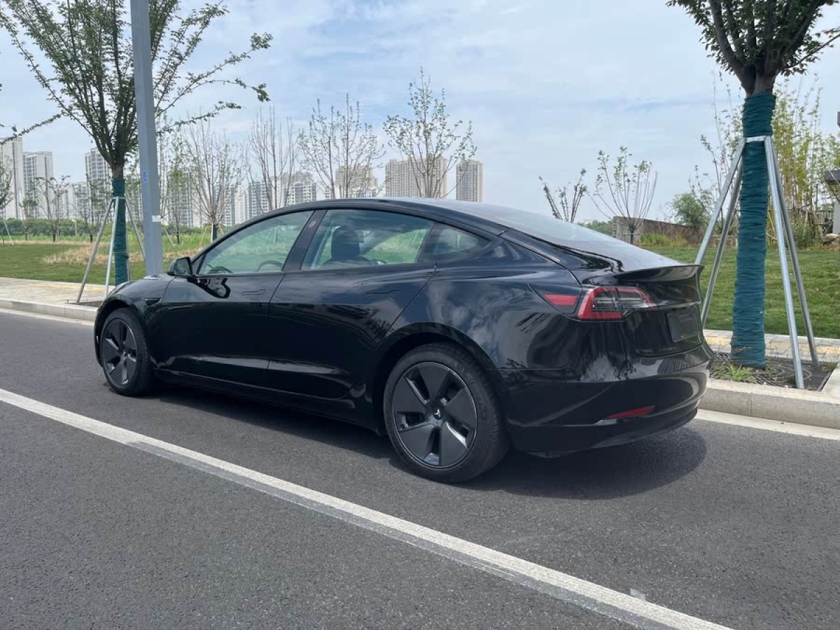 特斯拉 Model 3  2021款 改款 標(biāo)準(zhǔn)續(xù)航后驅(qū)升級(jí)版圖片