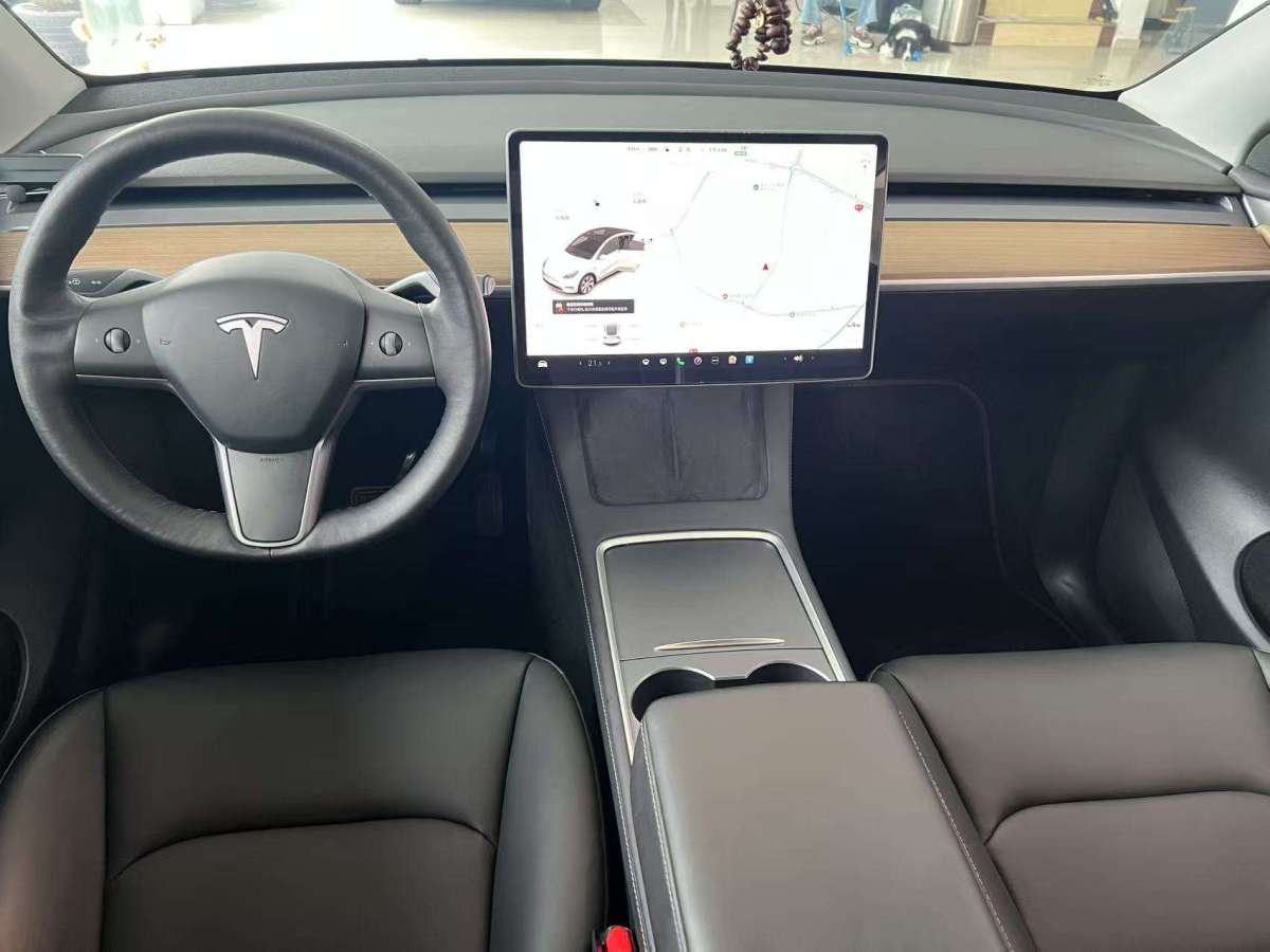 特斯拉 Model Y  2021款 標(biāo)準(zhǔn)續(xù)航后驅(qū)版圖片