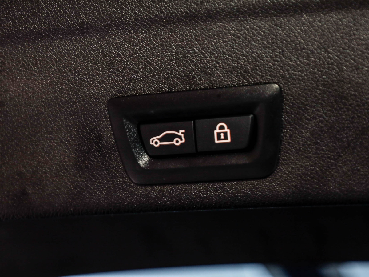 宝马 X6 2021款 xDrive30i M运动套装图片