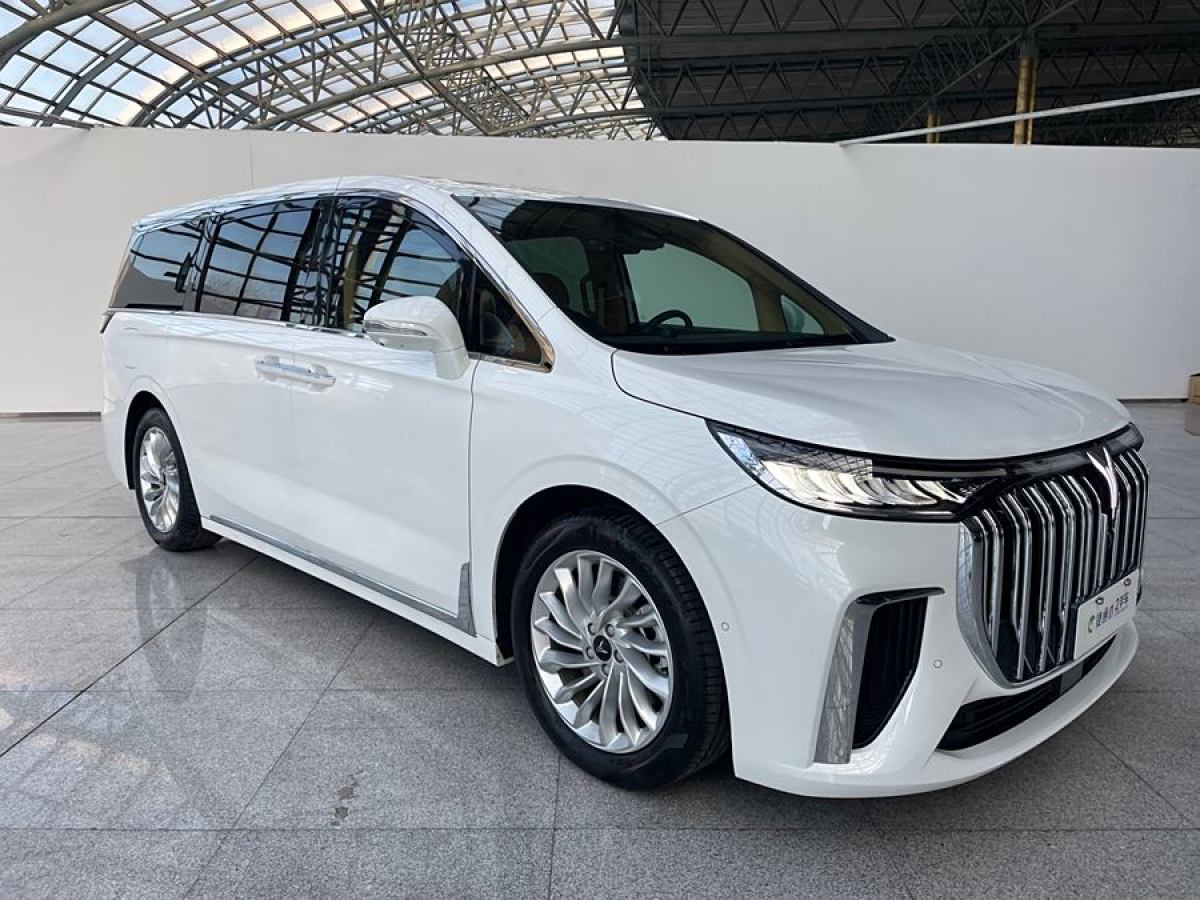 嵐圖 夢(mèng)想家  2024款 PHEV 超長(zhǎng)續(xù)航尊貴版圖片