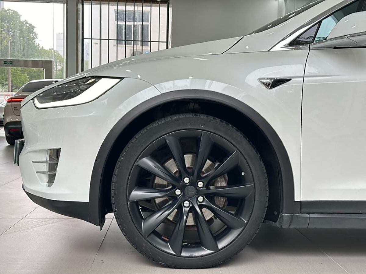 特斯拉 Model X  2017款 Model X 100D 長(zhǎng)續(xù)航版圖片