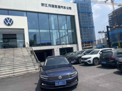 2019年8月 大众 蔚揽(进口) 380TSI 两驱舒行版图片