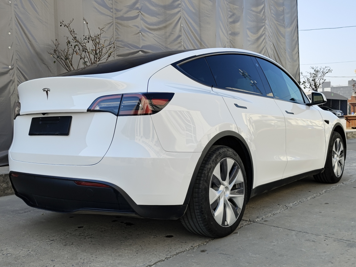 特斯拉 Model 3  2020款 改款 長(zhǎng)續(xù)航后輪驅(qū)動(dòng)版圖片