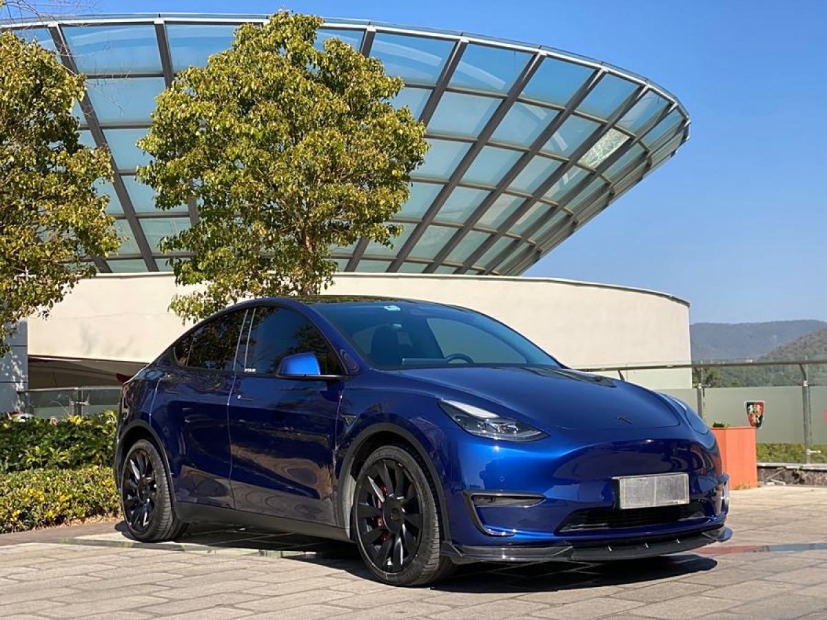 特斯拉 Model Y  2021款 改款 長續(xù)航全輪驅(qū)動(dòng)版圖片