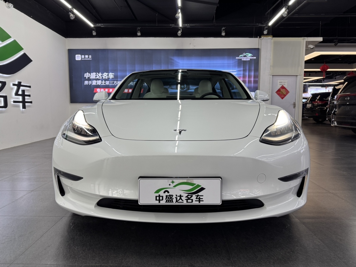 特斯拉 Model 3  2019款 長續(xù)航全輪驅(qū)動版圖片