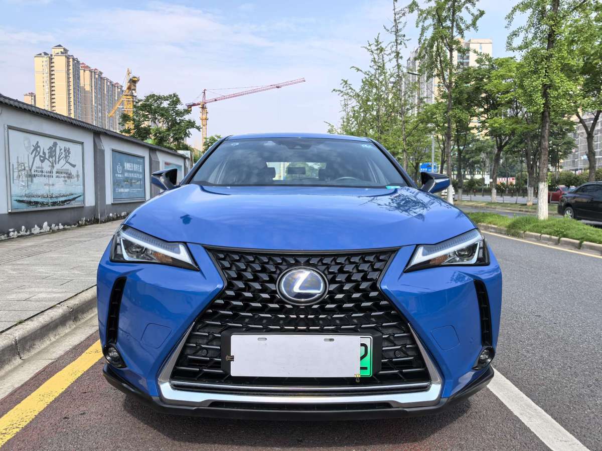 雷克薩斯 雷克薩斯UX新能源  2020款 300e 純?悅版圖片