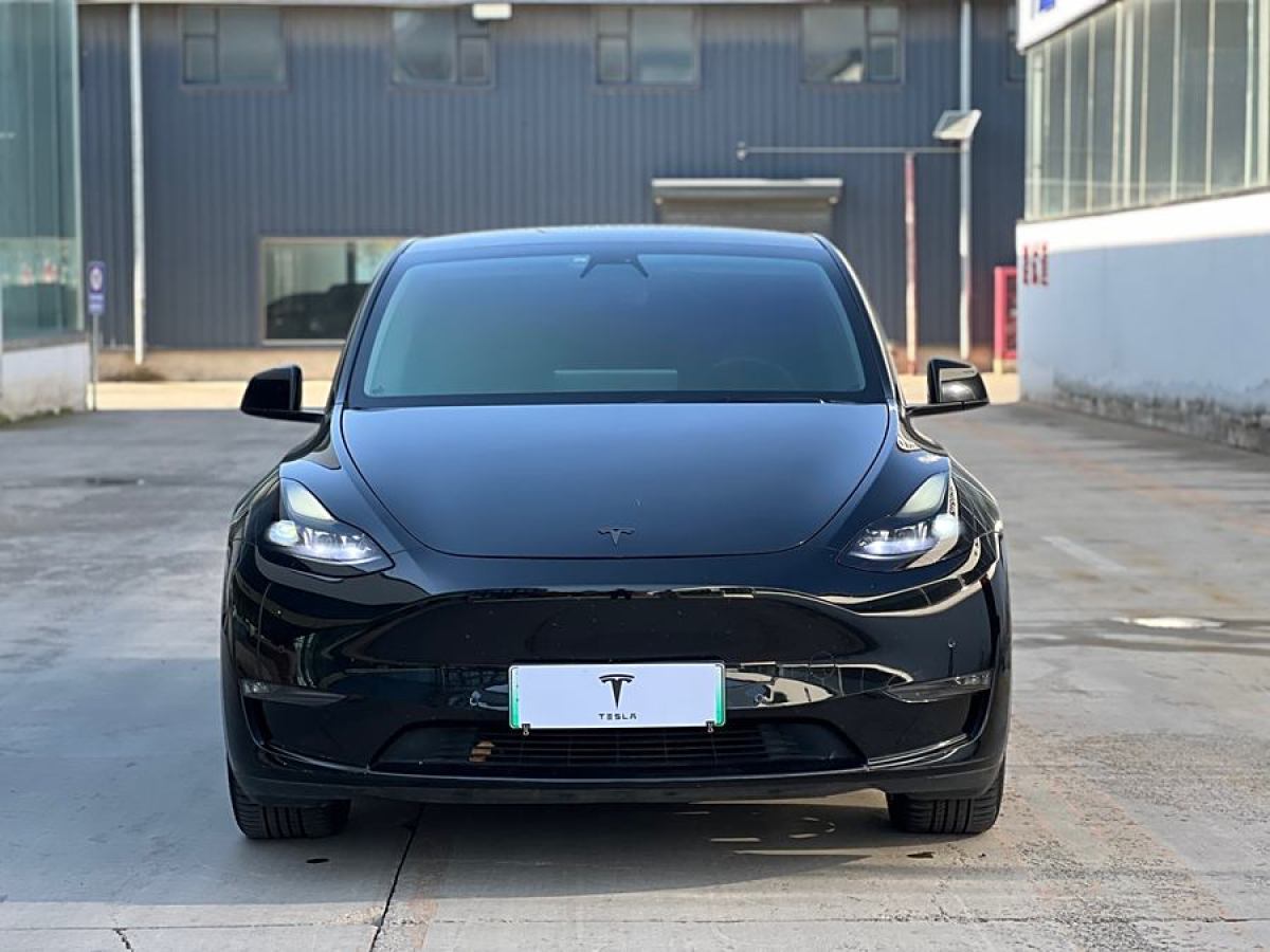 特斯拉 Model Y  2021款 長續(xù)航全輪驅(qū)動版 3D7圖片