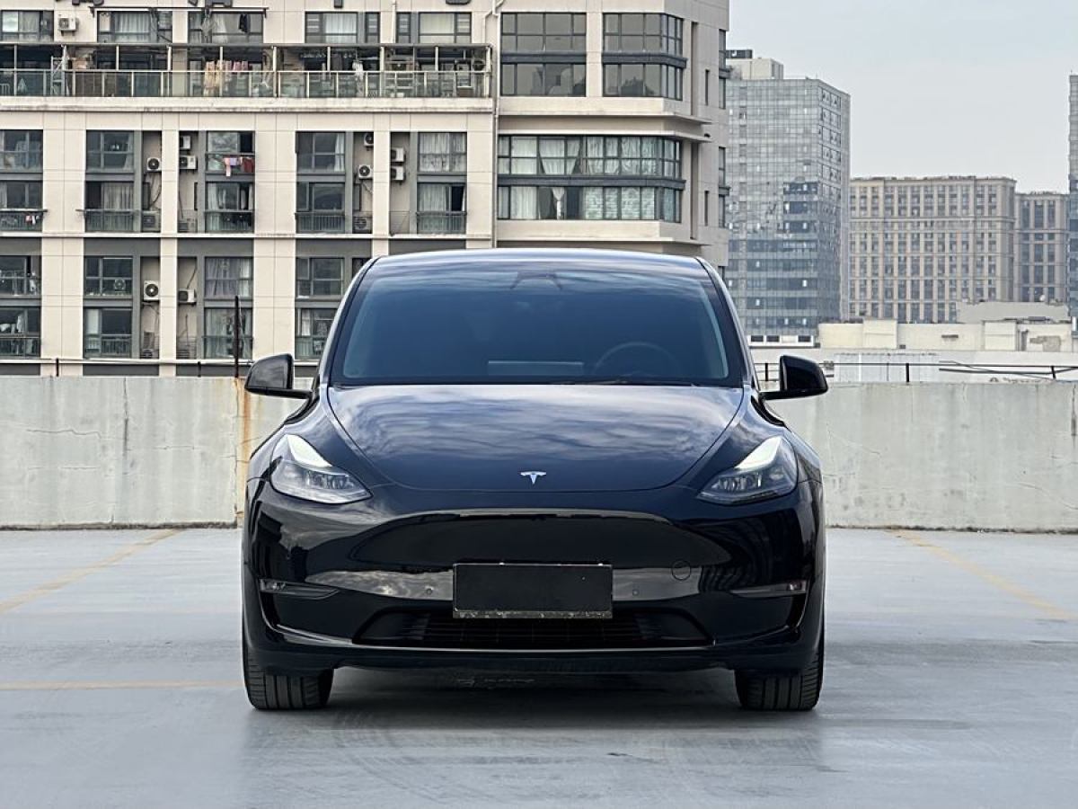 特斯拉 Model Y  2021款 改款 長續(xù)航全輪驅(qū)動版圖片