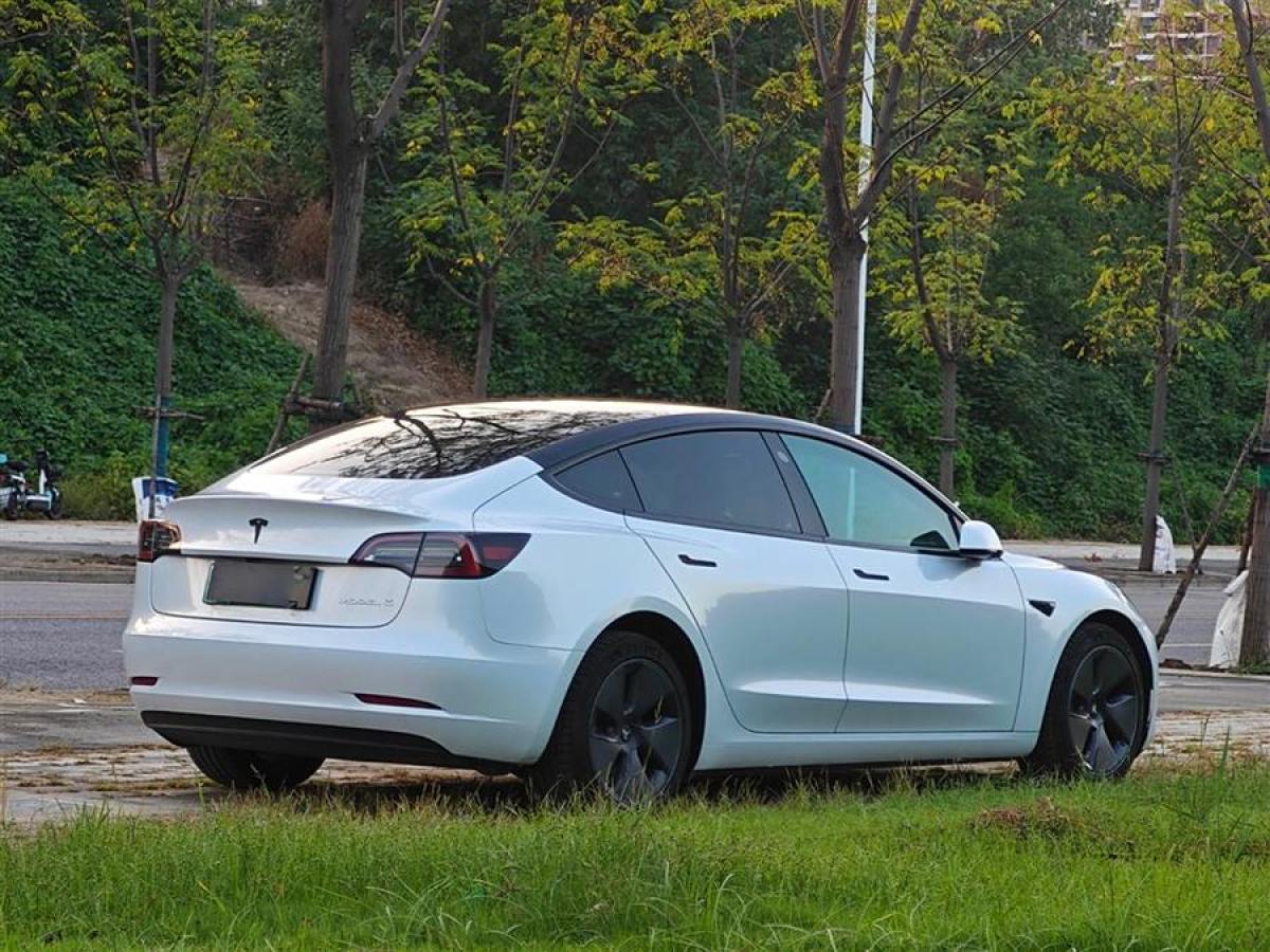 特斯拉 Model Y  2023款 后輪驅(qū)動版圖片