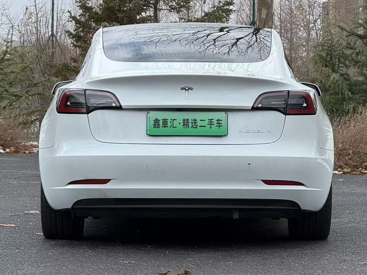 特斯拉 Model 3  2020款 改款 長(zhǎng)續(xù)航后輪驅(qū)動(dòng)版圖片