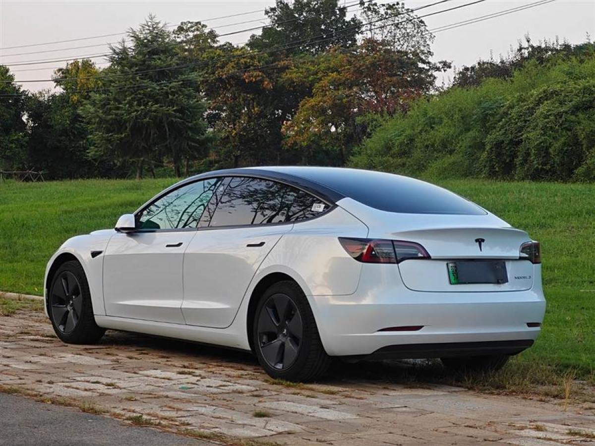 特斯拉 Model Y  2023款 后輪驅(qū)動版圖片