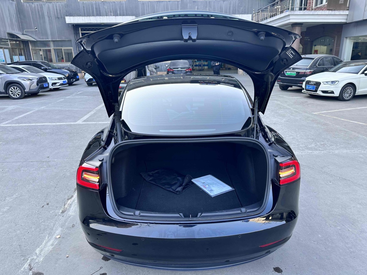 特斯拉 Model 3  2019款 標(biāo)準(zhǔn)續(xù)航后驅(qū)升級(jí)版圖片