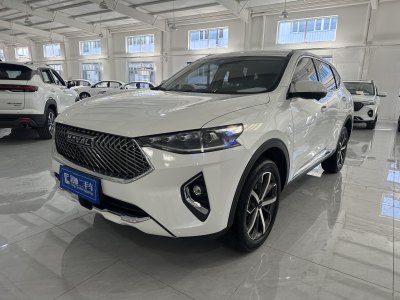 2021年1月 哈弗 F7 1.5T 兩驅(qū)i型圖片