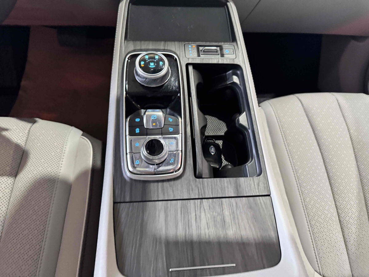 福特 領(lǐng)裕  2023款 EcoBoost 225 尊領(lǐng)型PLUS 7座（2/2/3）圖片