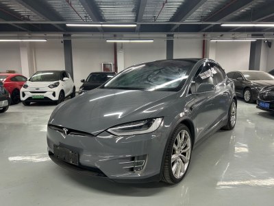 2017年3月 特斯拉 Model X Model X 75D图片