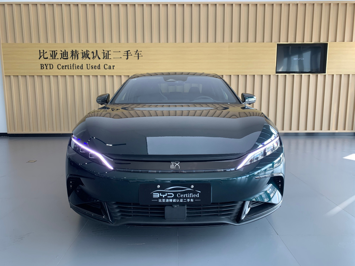 比亚迪 汉  2022款 EV 610KM四驱千山翠限量版图片