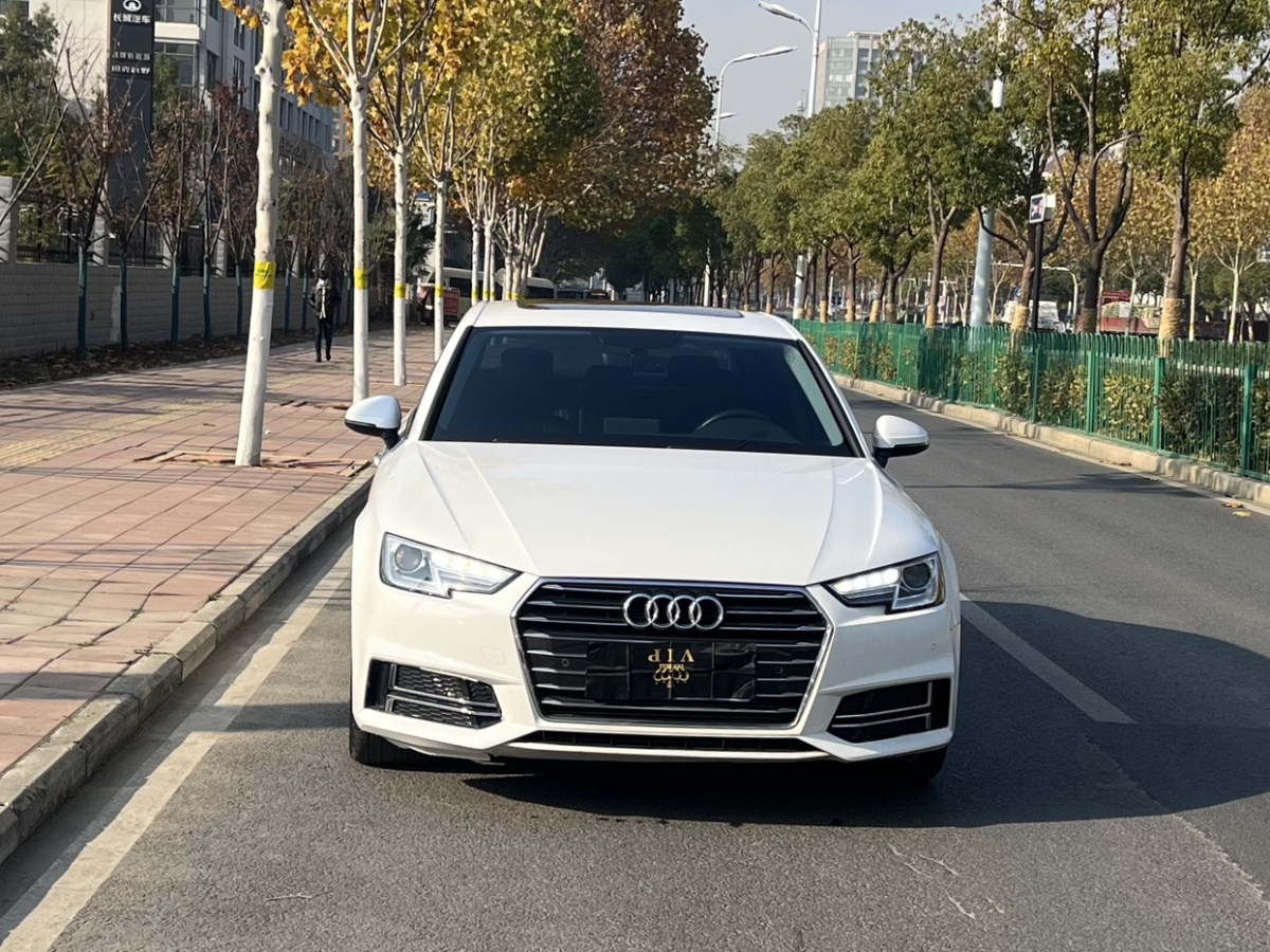 奧迪 奧迪A4L  2019款 40 TFSI 進取型 國V圖片