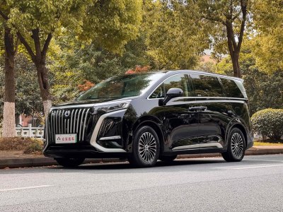 2023年3月 騰勢 騰勢D9 EV 600 四驅(qū)尊榮型圖片