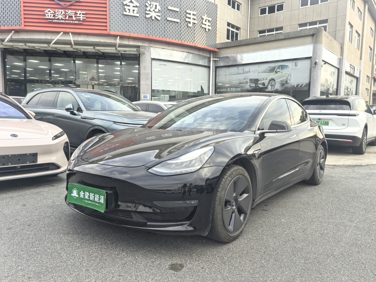 特斯拉 Model 3  2019款 長續(xù)航后驅(qū)版圖片