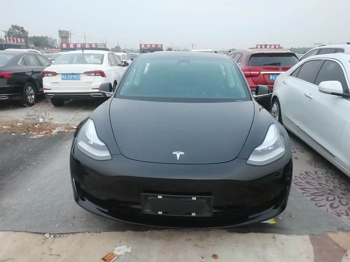 2021年2月特斯拉 Model Y  2020款 改款 標準續(xù)航后驅(qū)升級版