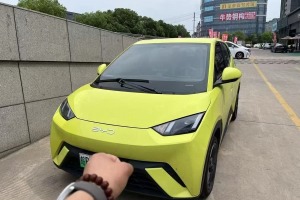 海鷗 比亞迪 榮耀版 305km 自由版