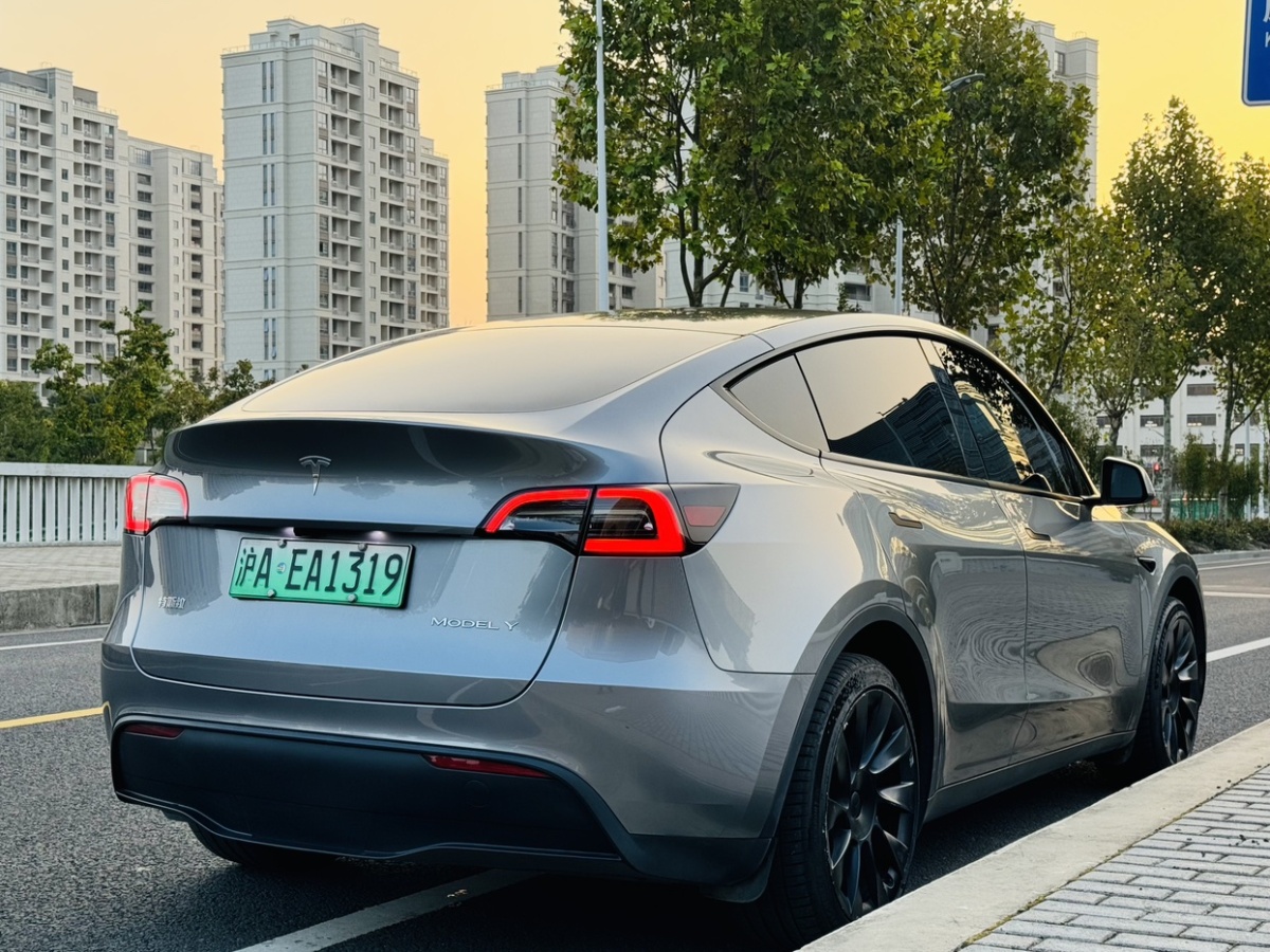 特斯拉 Model 3  2024款 長(zhǎng)續(xù)航全輪驅(qū)動(dòng)版圖片