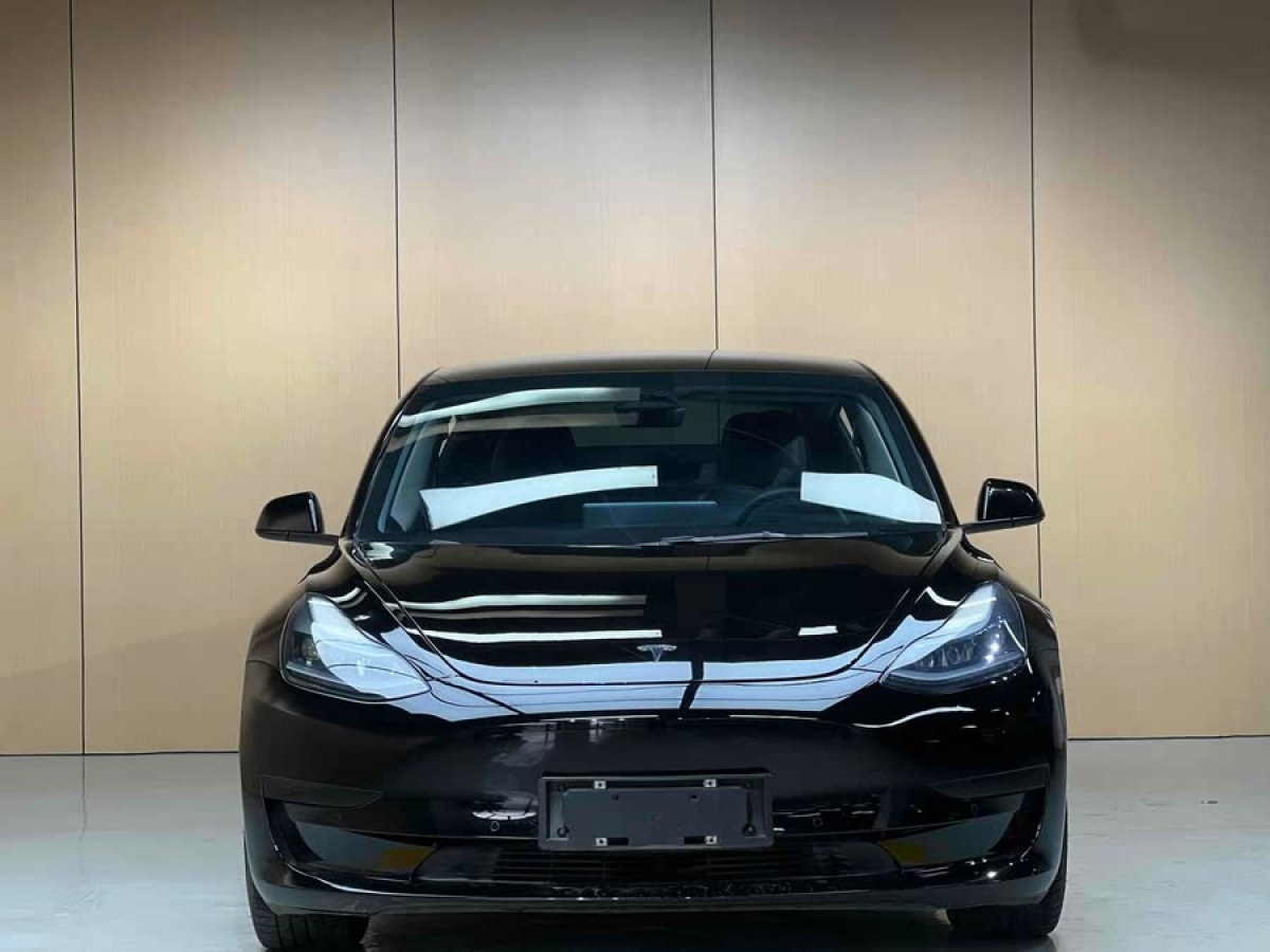 特斯拉 Model 3  2022款 后輪驅(qū)動(dòng)版圖片